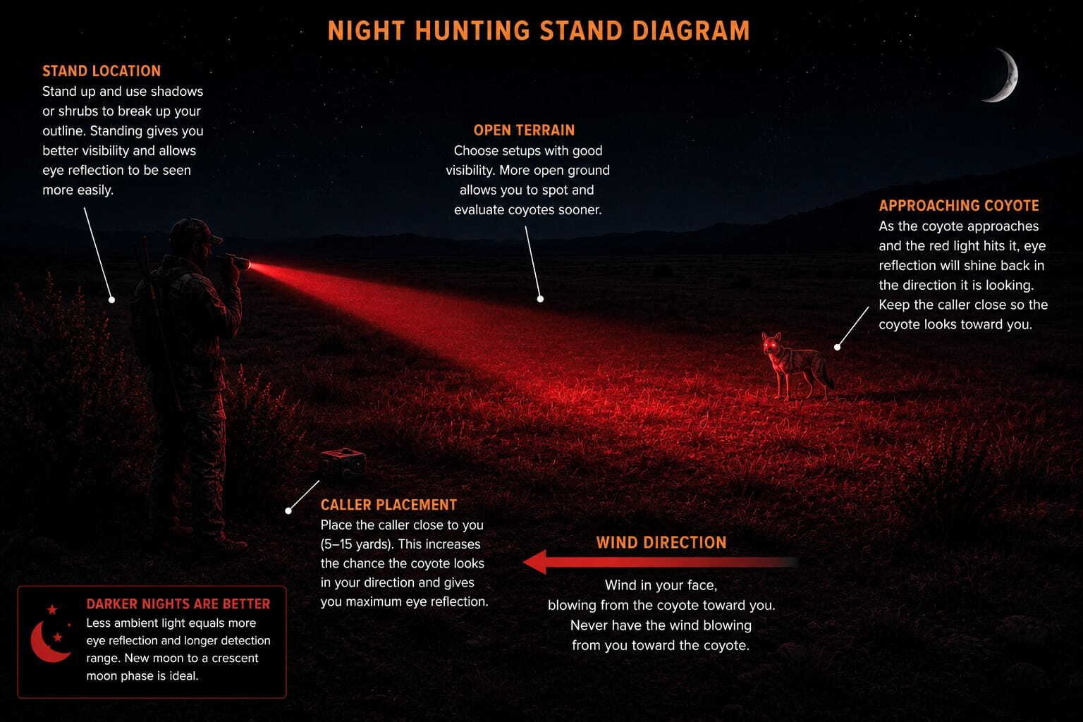 Night hunting stand setup diagram for calling predators with hunting lights